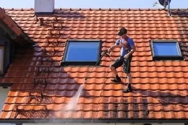 Local Lynnwood roof cleaning services in WA near 98037