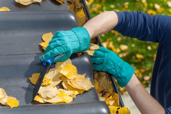 Gutter-Cleaning-Bothell-WA