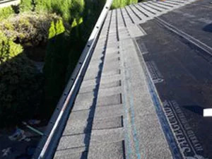 Roof Leak Repair in Lynnwood